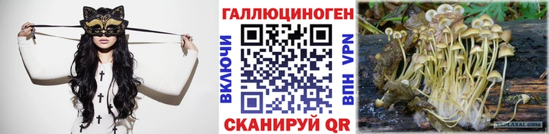 Псилоцибиновые грибы Psilocybe Видное